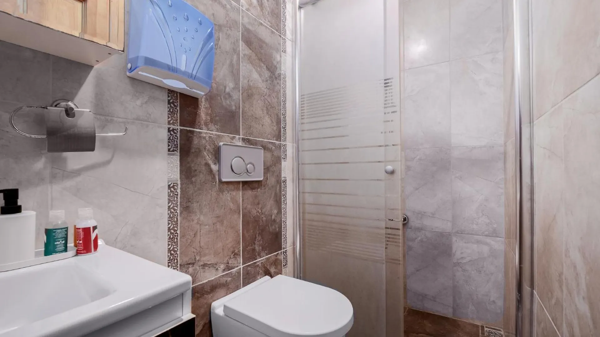 Detached Triplex With Garden Terrace Villa Istanbul